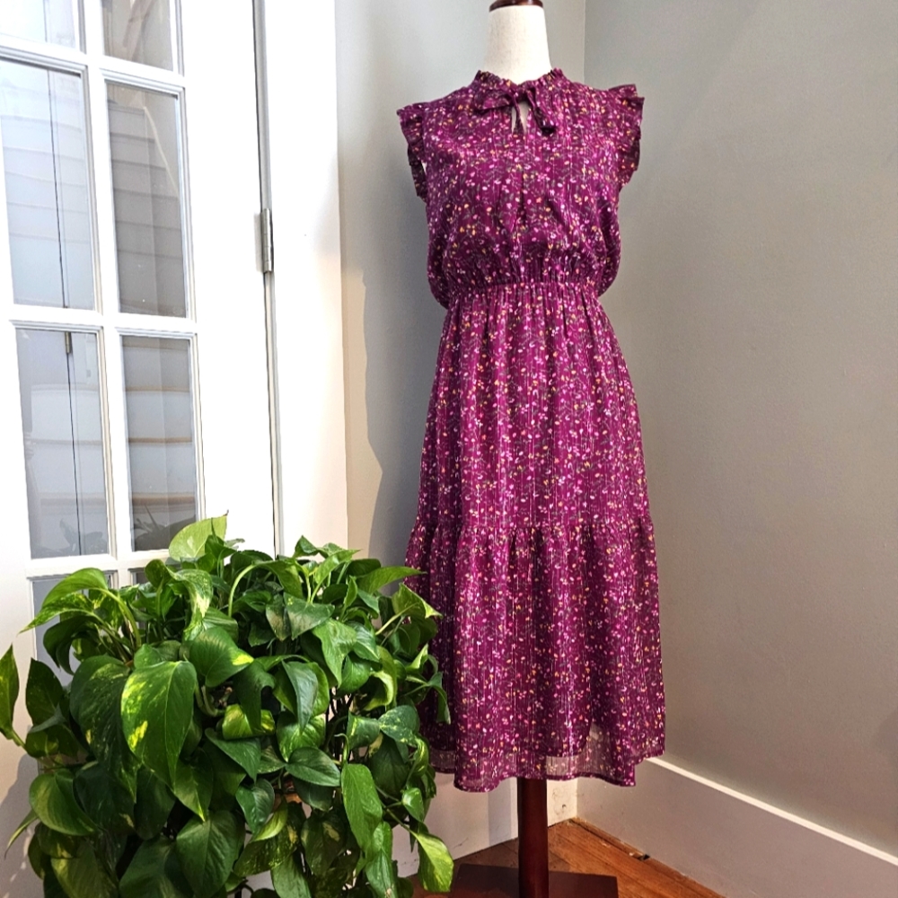 NWT Banana Republic Factory dress size 0